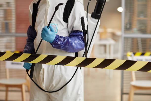 Professional Sewage Cleanup technician working in Brunsville, IA